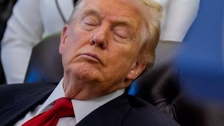 Donald Trump, snoozing through the fascism on Nov 10 2025. Photo by Andrew Harnik